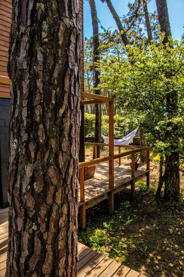 B1 Em Fao - By Ana Ferro Holiday home Ofir